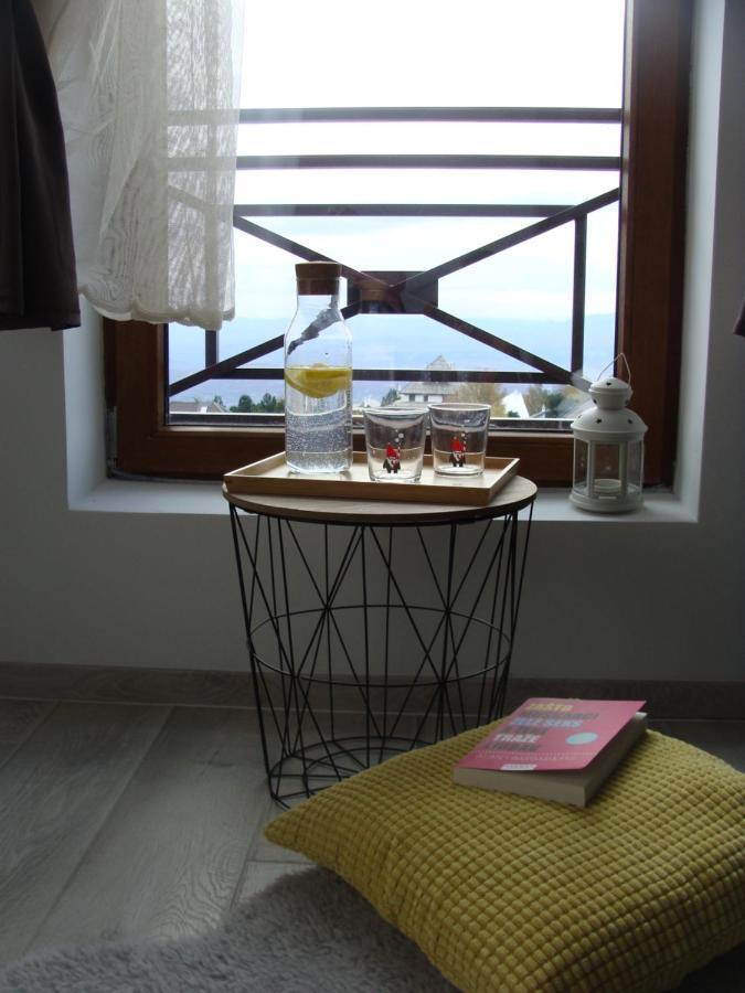 Panorama Apartman - Milmari L47 科帕奥尼克 外观 照片